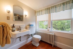 Shower, hair dryer