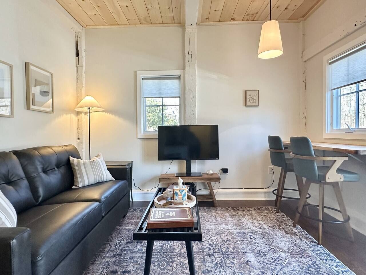 TV