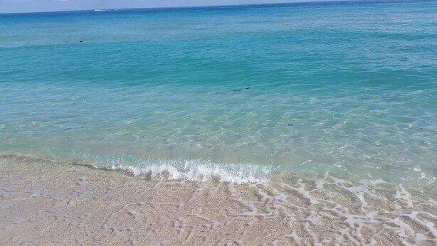 Une plage à l’eau turquoise et limpide, bordée d’un rivage sablonneux.