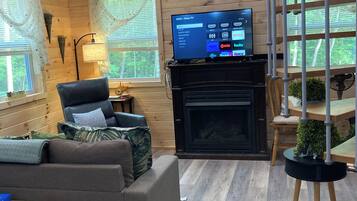 Smart TV, fireplace, books