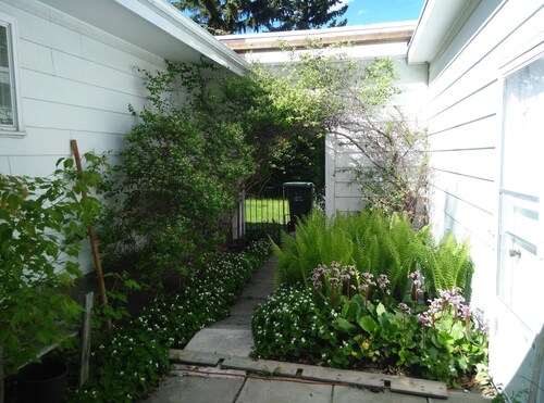 Quiet House in Dalhousie NW Calgary