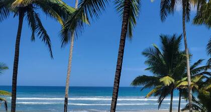Cayenas Tropical Beach House