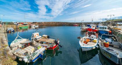Westland Shores - An East Neuk Gem