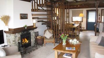 Smart TV, fireplace, DVD player, books