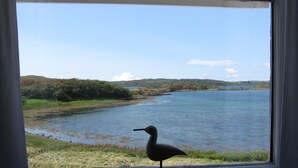 Blick aus dem Fenster auf einen ruhigen See mit einem Vogel auf dem Fensterbrett.