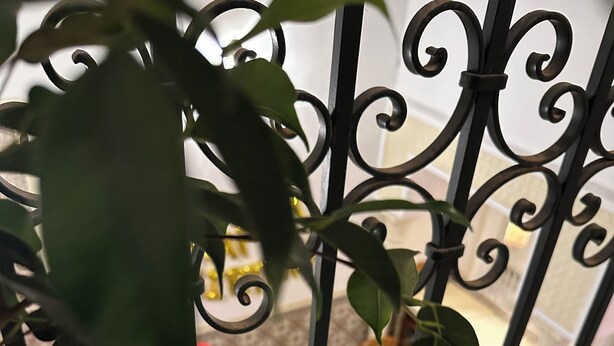 Een balkon met ijzeren hekwerk, een bloempot en een eethoek met mensen aan tafels.