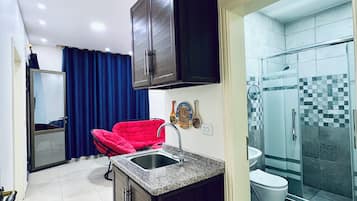 Deluxe Suite | Bathroom | Shower, hair dryer, towels