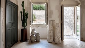 Un pasillo con un cactus, jarrones y una puerta rústica.