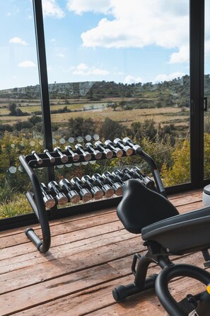 A gym with a dumbbell rack and a bench, overlooking a scenic landscape.