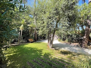 Un jardí exuberant amb un camí, una banca i diverses espècies d'arbres.