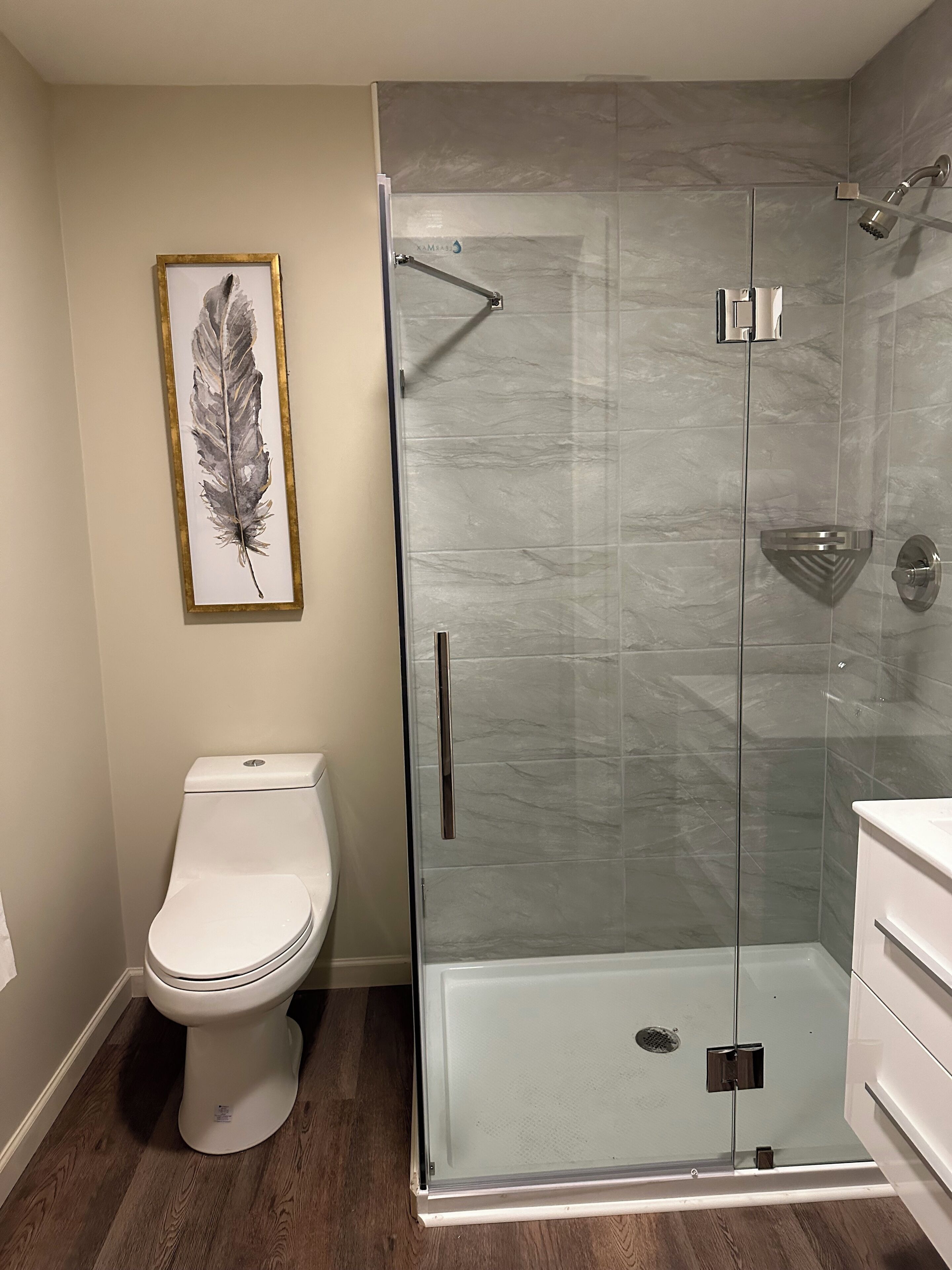 Une salle de bain avec une douche à parois de verre, des toilettes blanches et une œuvre d’art représentant des plumes, encadrée, accrochée au mur.
