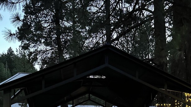 Un área de estar al aire libre cubierta, con una mesa y sillas, rodeada de árboles y un edificio con una puerta roja al fondo.