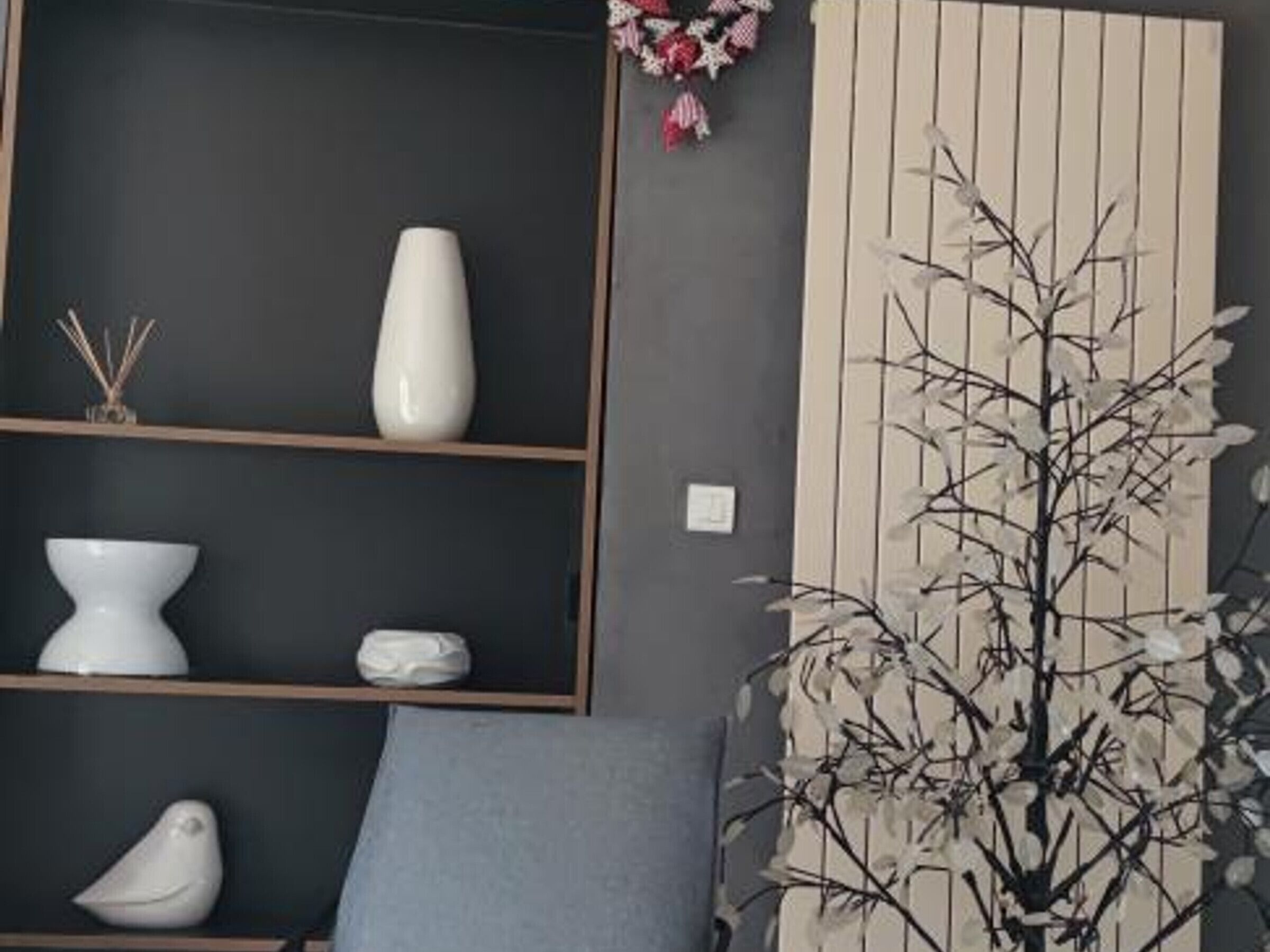 A room with a dark grey wall, a wooden shelf with decorative items, a grey sofa, and a wall-mounted plant.