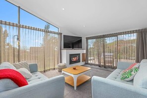 TV, fireplace, books