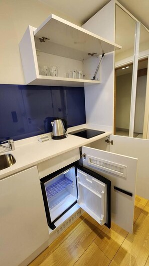 Basic Apartment | Private kitchen | Mini-fridge, stovetop, griddle, cookware/dishes/utensils - Sea Breeze Studio (Batumi)