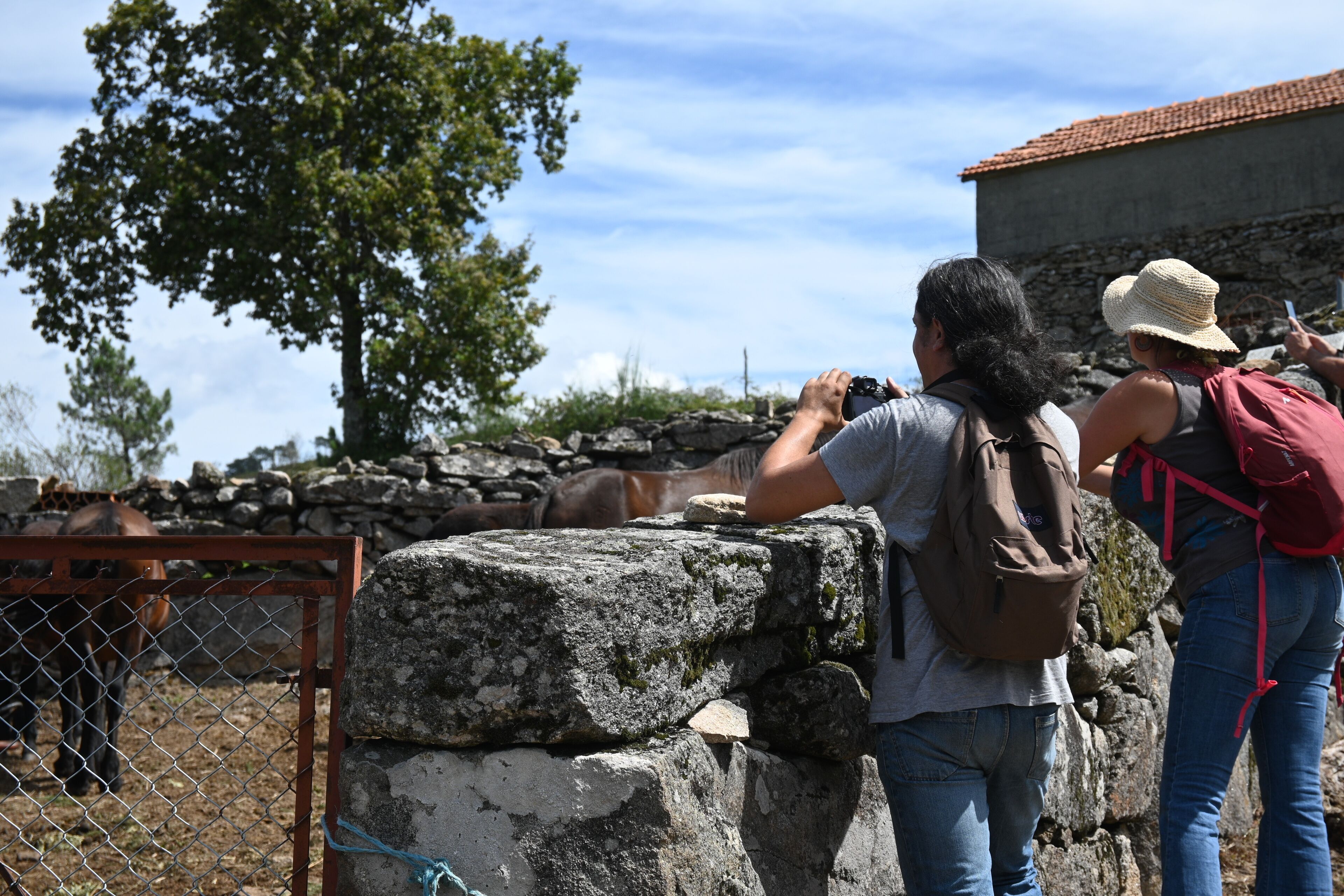 Zwei Personen fotografieren ein Pferd hinter einer Steinmauer.