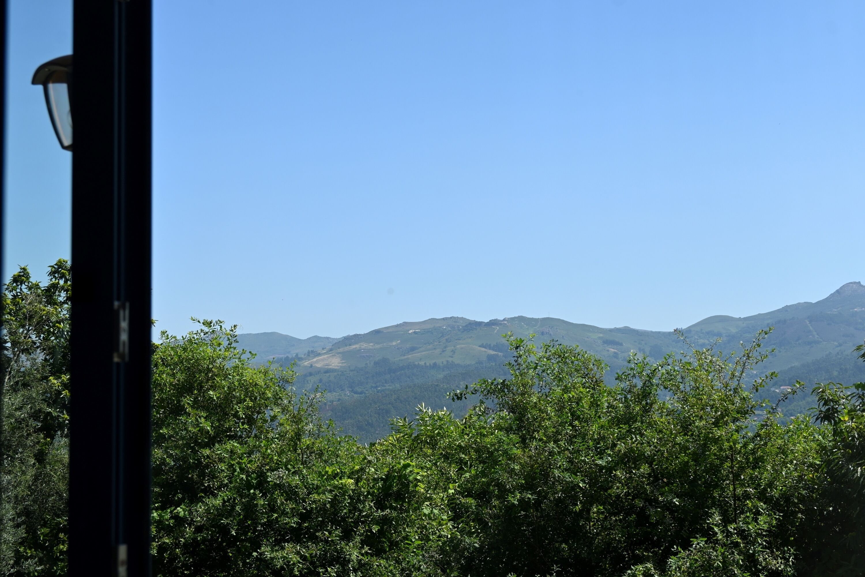 A view of a mountain range with lush green trees in the foreground.