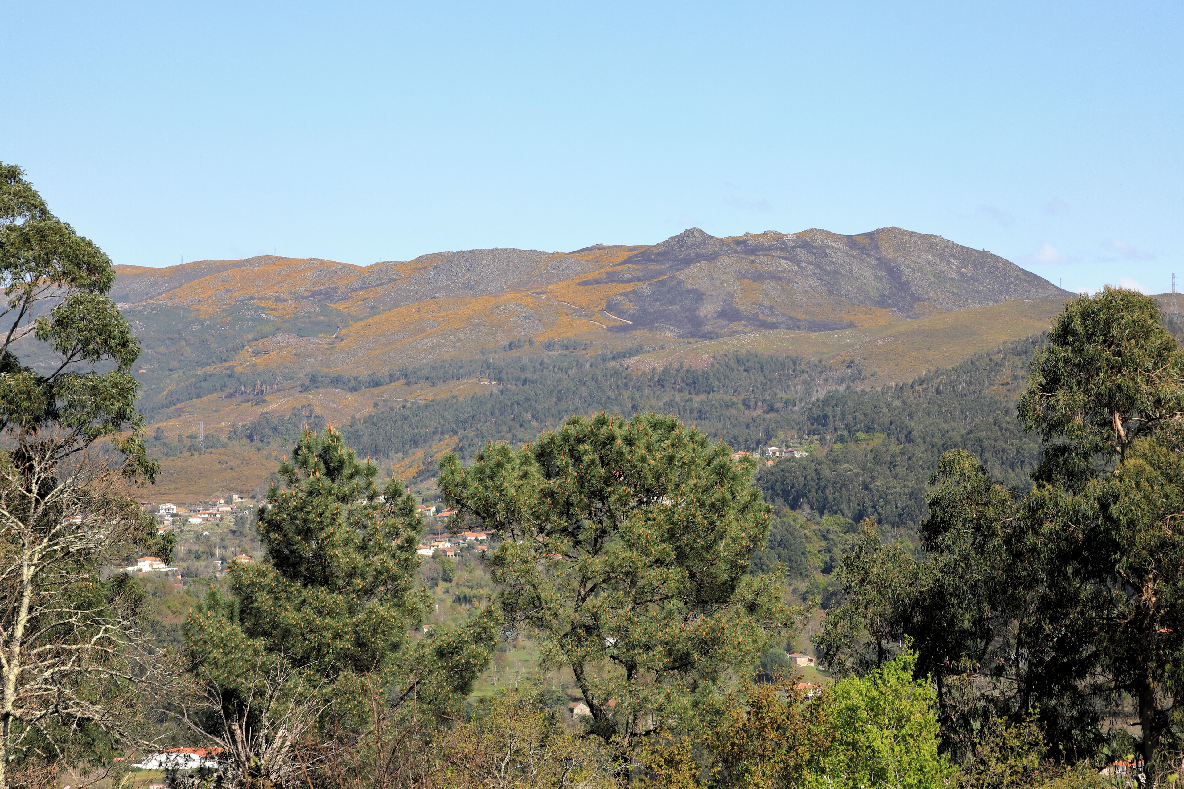 Un paisaje montañoso con bosques densos y un pequeño asentamiento en el valle.