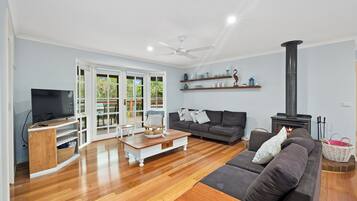 Smart TV, chimenea, reproductor de DVD, libros