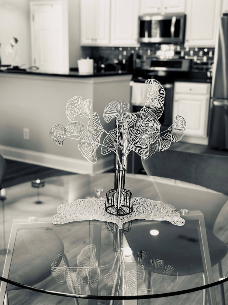 1 bdrm uptown Charlotte electric scooter available Charlotte FeWodirekt