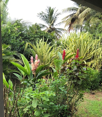 Property grounds. Bungalow Tout Confort en Guadeloupe