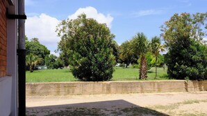 A view of a courtyard with a grassy area, a concrete wall, and several trees.