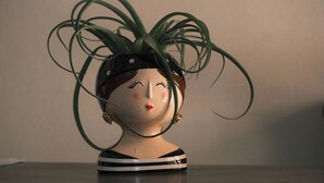 A ceramic bust with a plant in its hair.