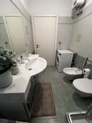 Shower, hair dryer, bidet, towels