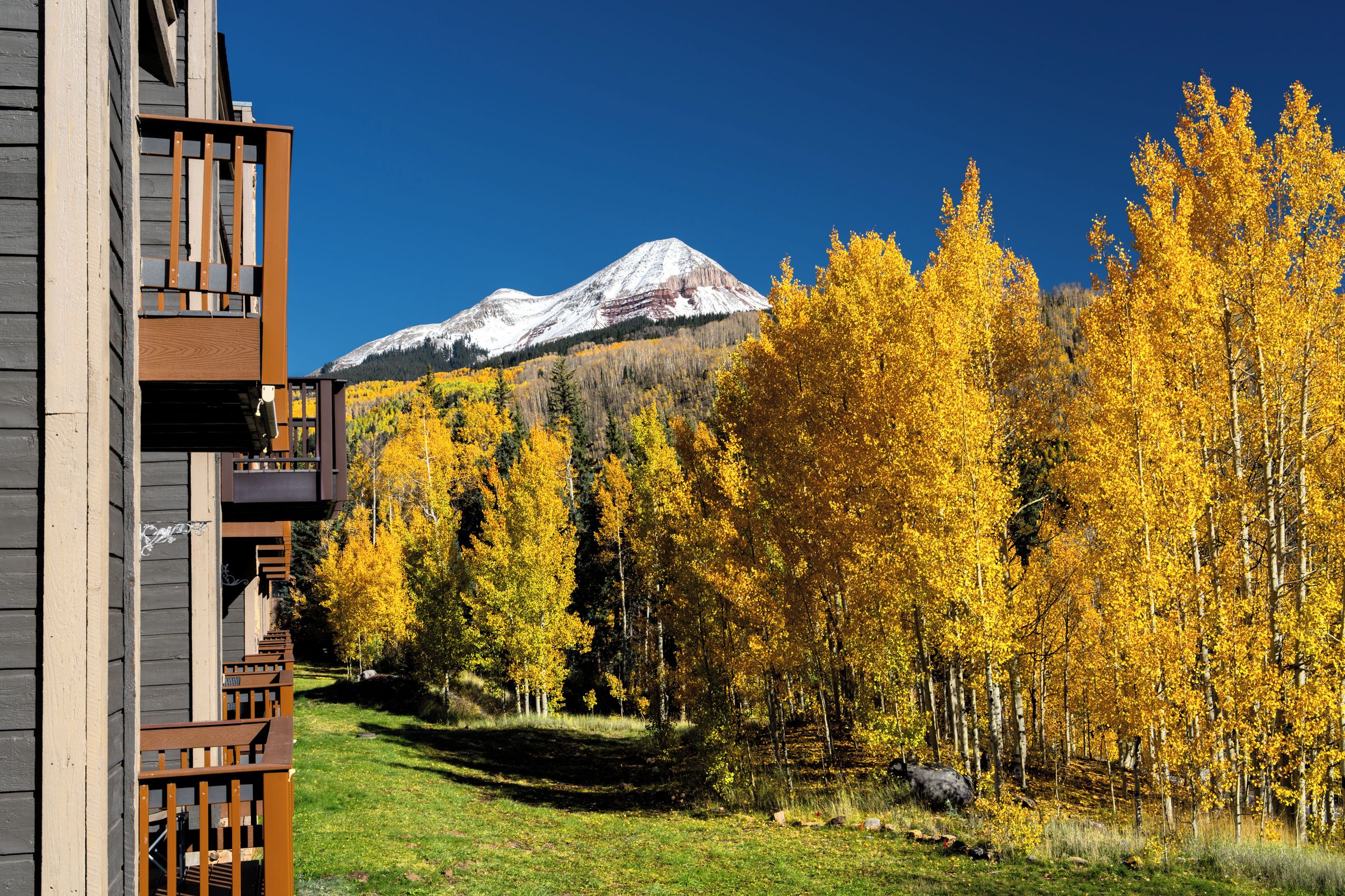 A mountain with snow-capped peaks in the background, surrounded by a forest of yellow-leaved trees.