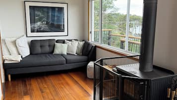 Smart TV, fireplace, video games, books