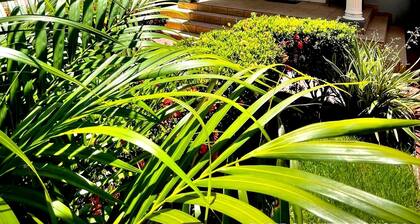 Spacious house near Rincón beaches- electric generator!