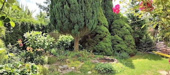 Summer house Ella - cozy half-timbered house with garden, barbecue, table tennis