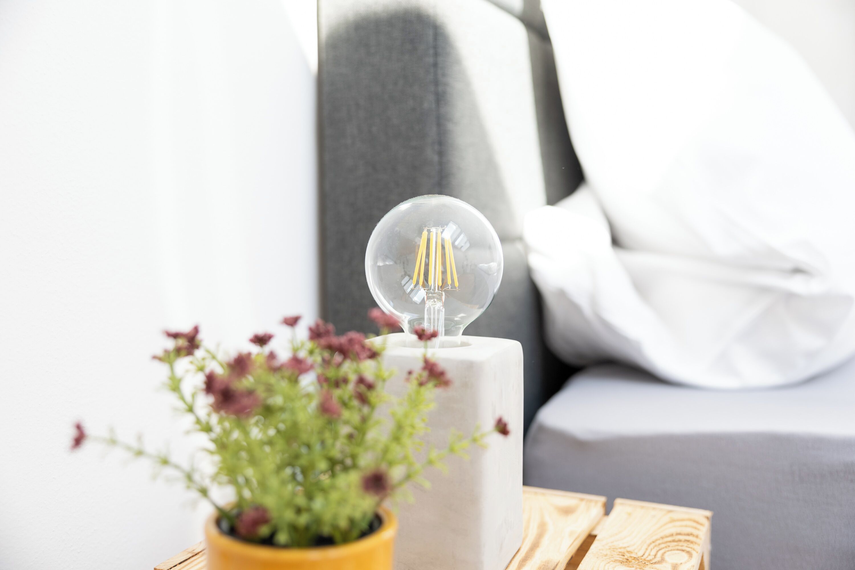 Eine klare Glühbirne auf einem weißen Sockel, ein Blumentopf mit violetten Blüten und ein graues Sofa im Hintergrund.