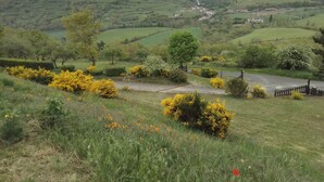Un paysage rural caractérisé par des collines douces, une route sinueuse et des arbustes aux fleurs jaunes disséminés.