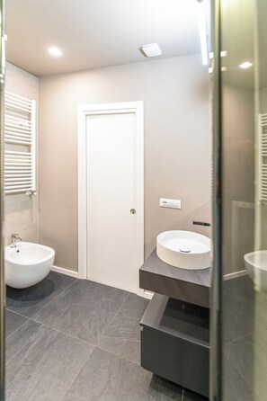 Shower, hair dryer, bidet, towels