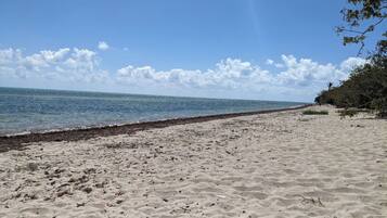 Sun loungers, beach towels