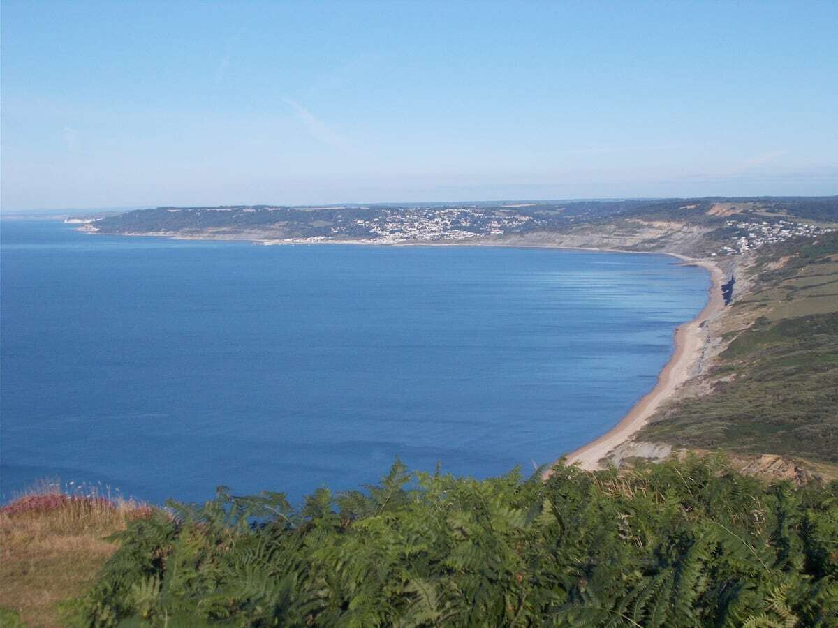 A coastal landscape with a beach, vegetation, and a distant town.