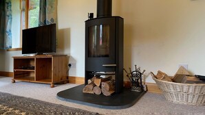 A cozy living room with a black wood-burning stove, a television on a wooden stand, and a woven basket with firewood.