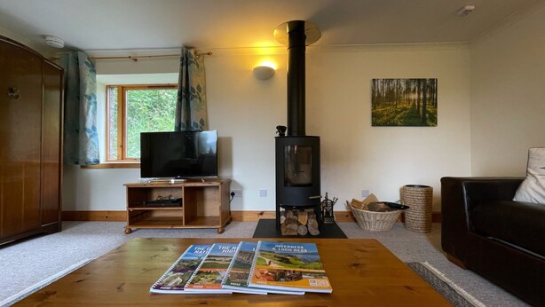 A living room with a television, a fireplace, a bookshelf, and a magazine on the coffee table.