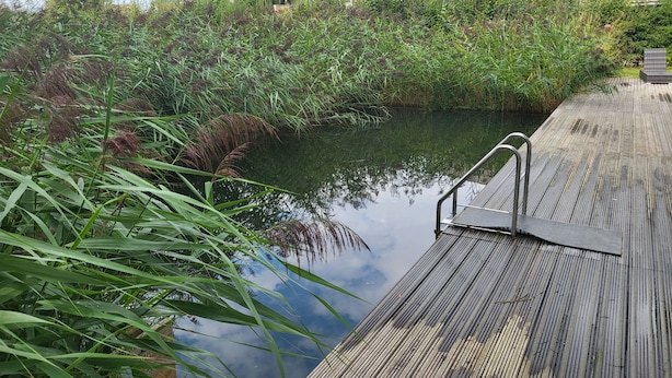 Eine Holzterrasse führt zu einer ruhigen Wasserfläche, umgeben von dichtem Grün und modernen Gebäuden im Hintergrund.