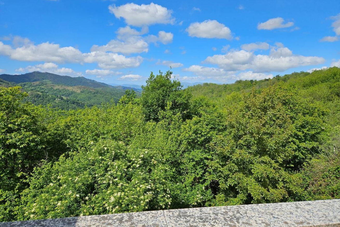 Paisaje natural con un muro de piedra al primer plano y vistas de colinas verdes bajo un cielo azul con nubes.