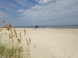 Ein Strand mit einem blauen Sonnenschirm und einem Zelt.