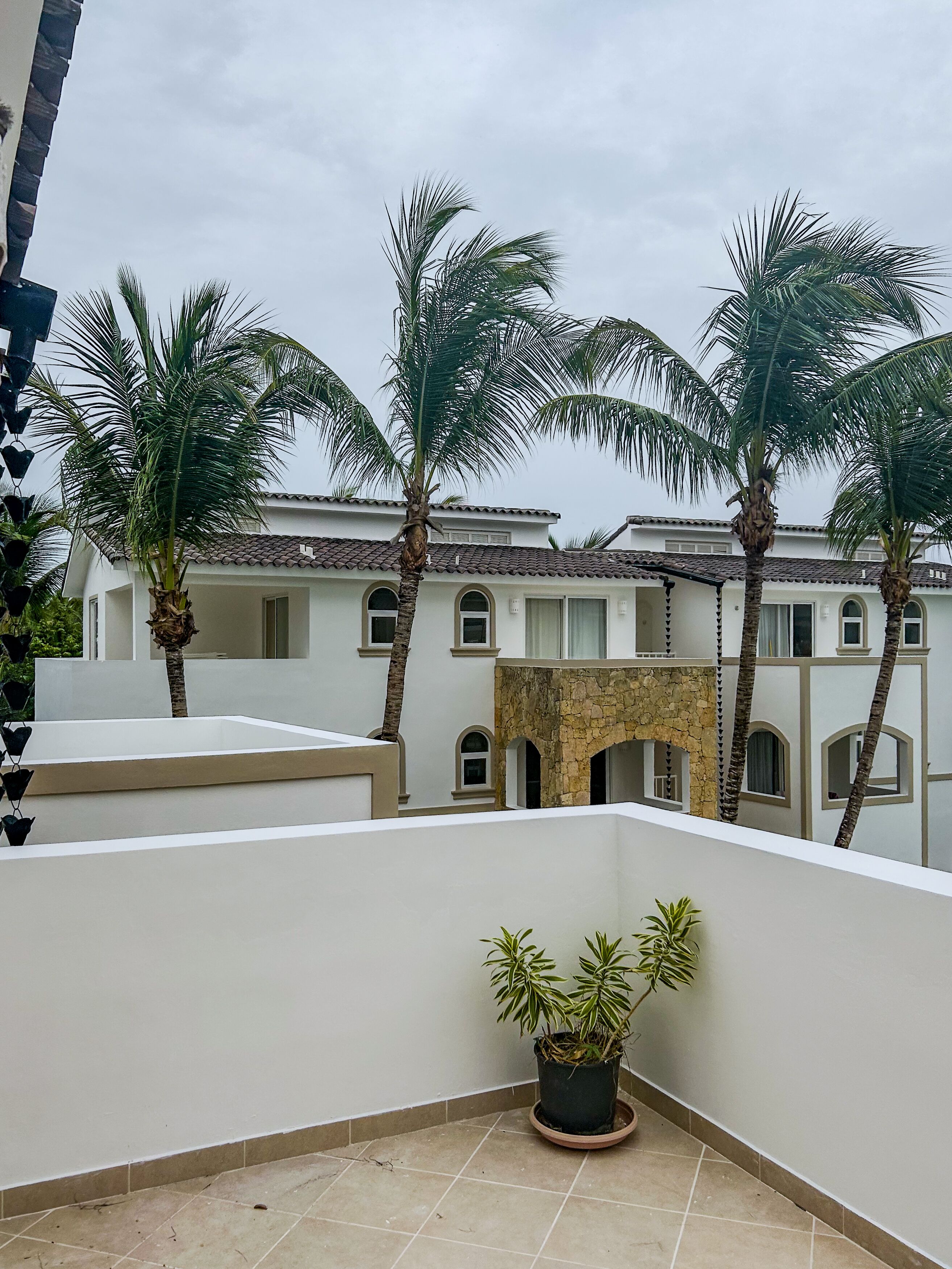 A courtyard with palm trees, a tiled floor, and a building with a tiled roof and arched windows.