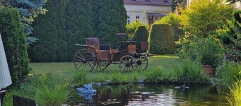 Gästezimmer mit Bezauberndem Garten und Koi-teich