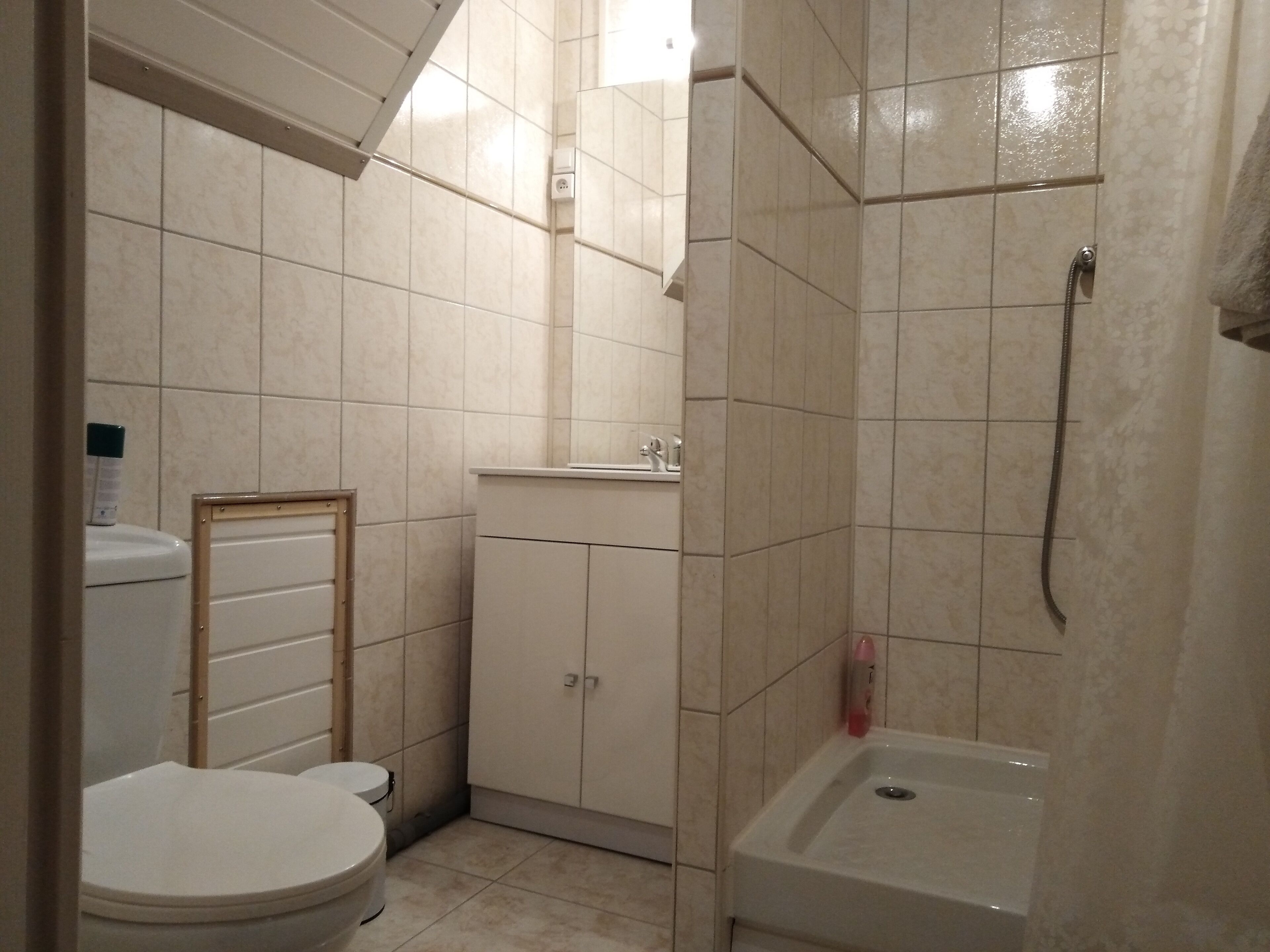 Hair dryer, towels, soap, toilet paper