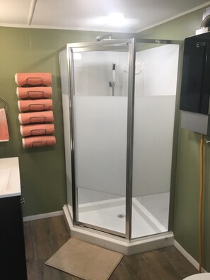 Regadera, secadora de cabello, toallas, papel de baño 