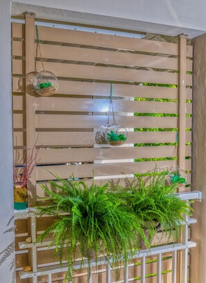 Terrain de l’hébergement 