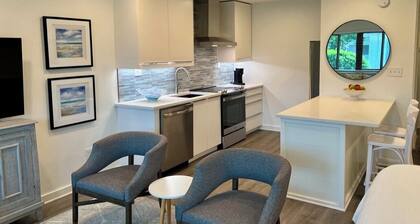 Newly remodeled, heart of Seagrove Beach, 100 yards to beach!