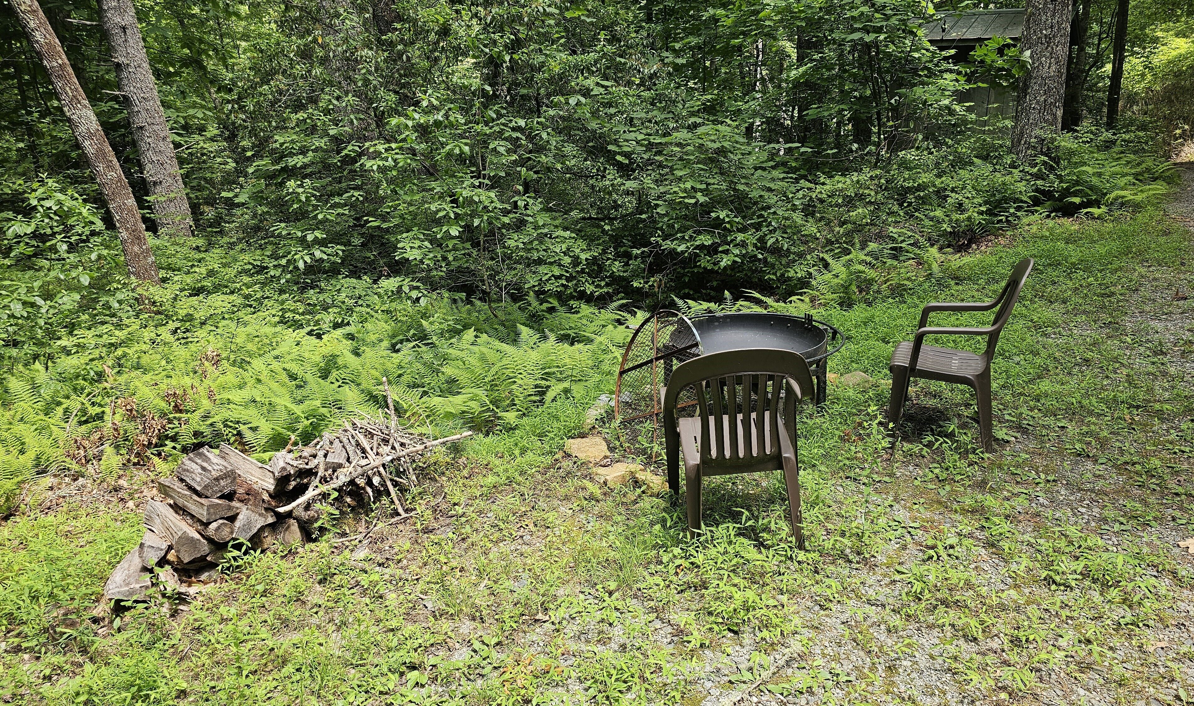 A rustic outdoor seating area with a metal chair and a wooden chair, surrounded by dense greenery and a pile of firewood.