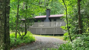 A cabin with a chimney, surrounded by dense forest. - Fern Hill Cabin - near Dupont State Forest (Brevard)